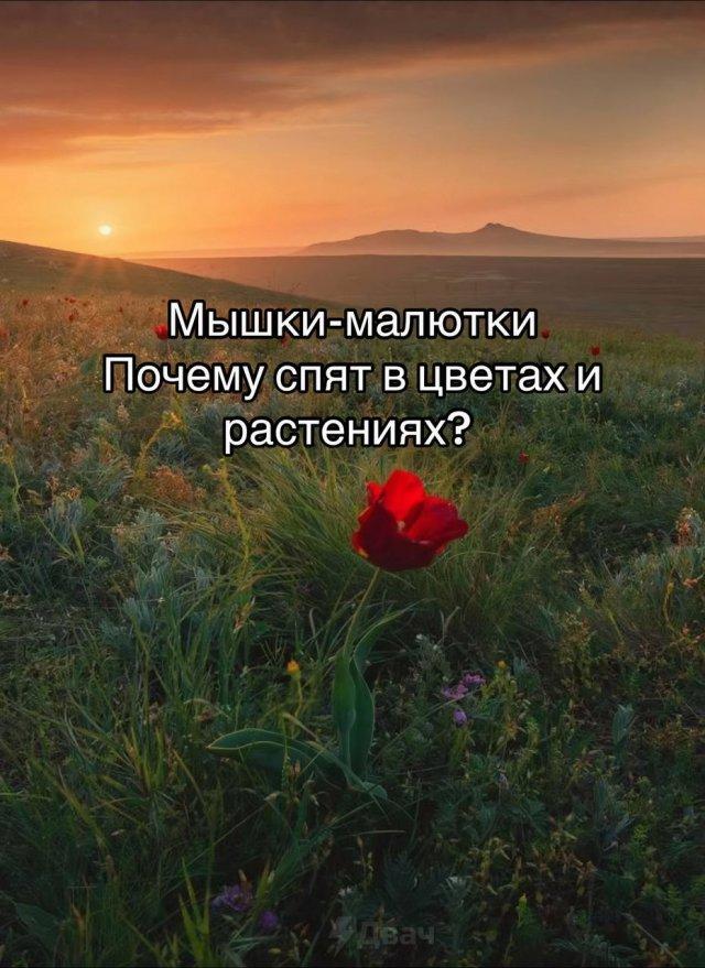 ������ ���������� ��� �����-������� (7 ����)