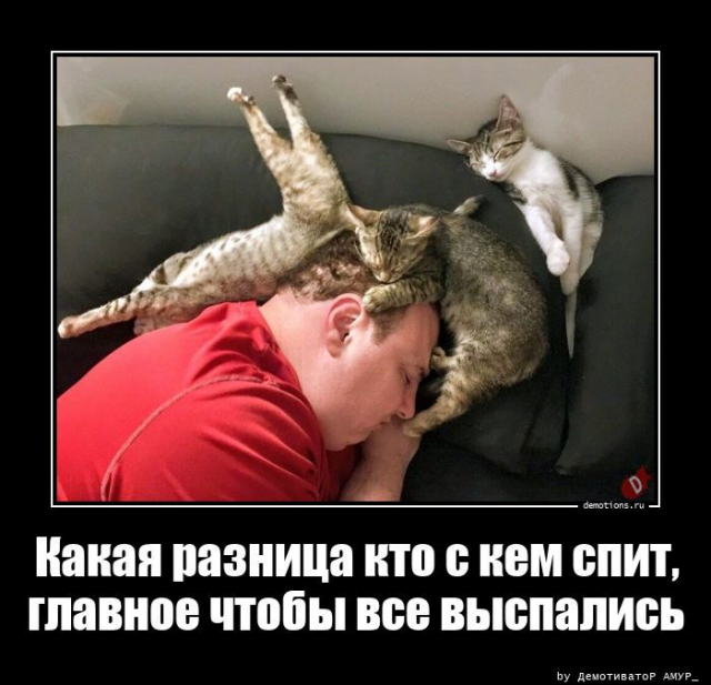 ������������ �3792 (20 ����)