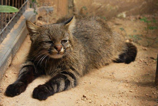 ��������� ����� � ������� ��������� ��������� ����� (3 ����)