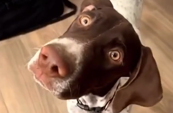 ���� �� ������� ������� ��� ������ ������ �������� (�����)