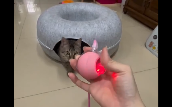 ����� ������� ����� (�����)