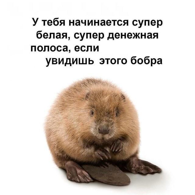 �������� ���������� ���� �3921 (30 ����)