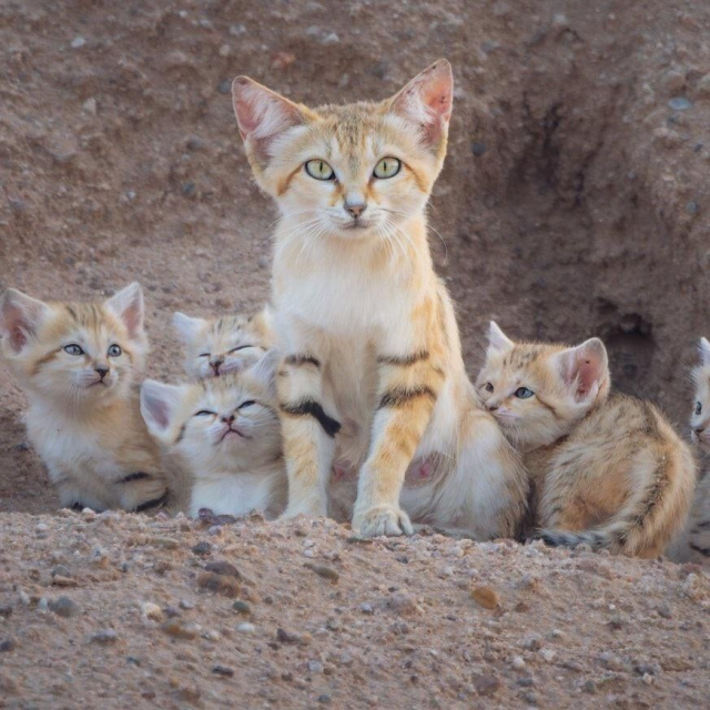 �������� �������� � ����� ���������� �������� (20 ����)