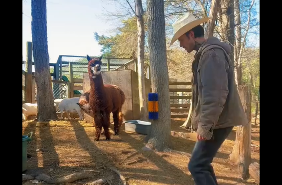 ������ ��� (�����)