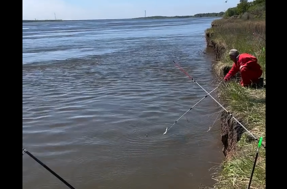 �������� ��� ����� (�����)