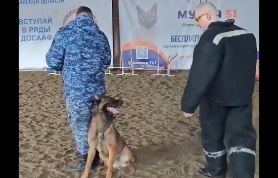 �������� ����� (�����)