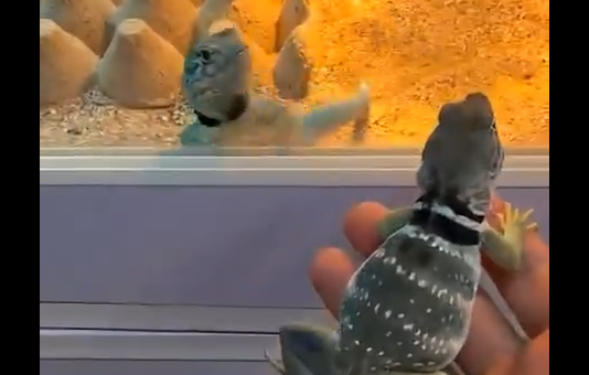 ������� ����� ����������� ������, ����� �� ������� � ����� ������ ����� (�����)