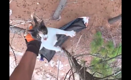 �� ������� ��������� � ������ ���������� (�����)