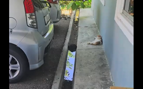 ������������ ����� (�����)