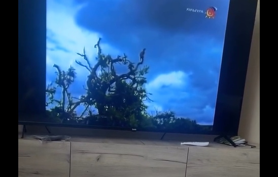 �������� ������ (�����)