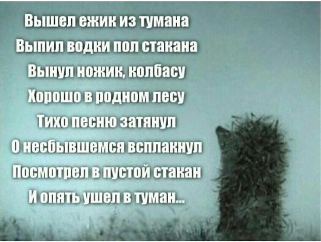 ������� ���� (15 ����)