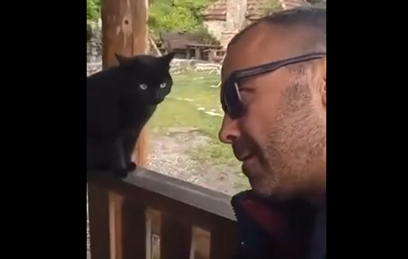 �������� � ����� (�����)