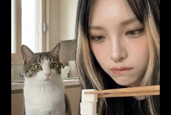 ��� �������� (�����)