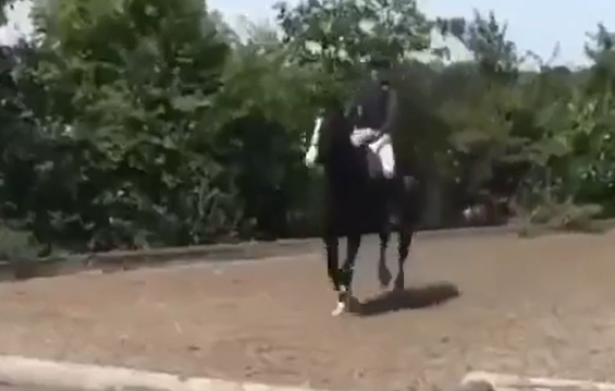 �� ������� ������, ����� � ����� �� ��� ������? (�����)