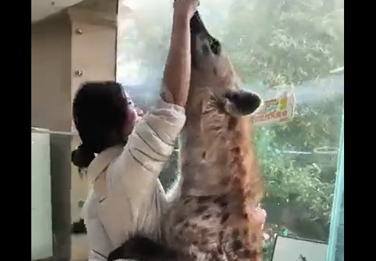 �����-�� �������� (�����)