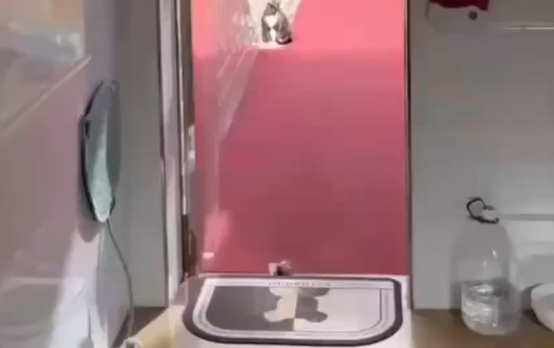 ���� ���������� (�����)