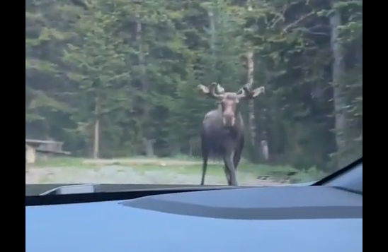 - �������, �������, ��� ������ ��������! (�����)