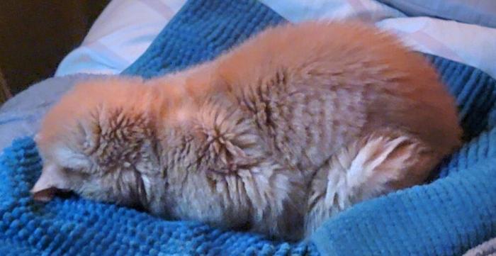 ���������� ������� � ���� ������� � ������� � �� ������ (35 ����)