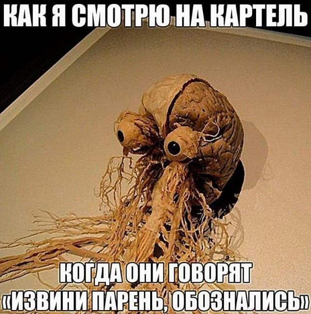 ������ ����� � ���� �� ���� (15 ����)