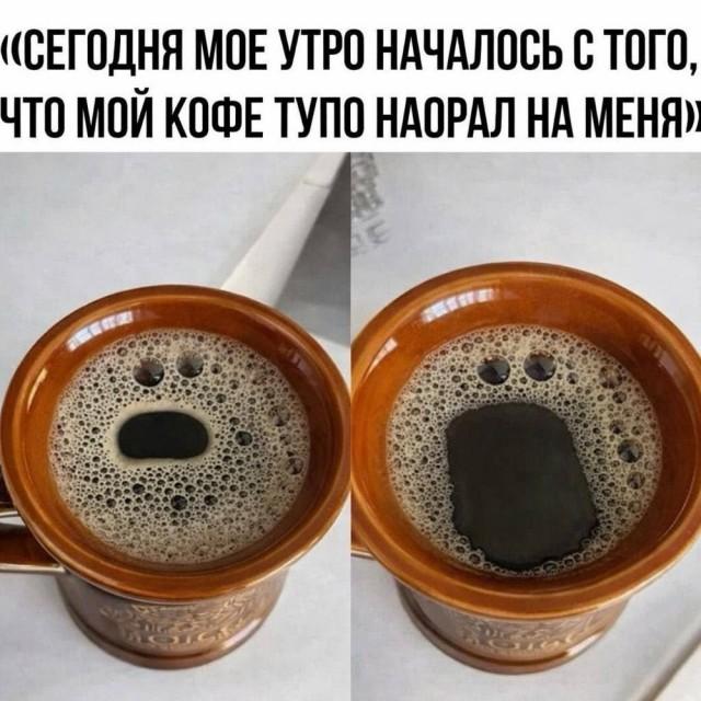 ������� �������� (15 ����)