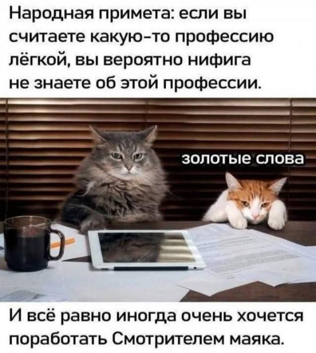 �������� ���������� ���� �3926 (30 ����)