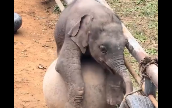 ���������� �� (������������) ������� (�����)