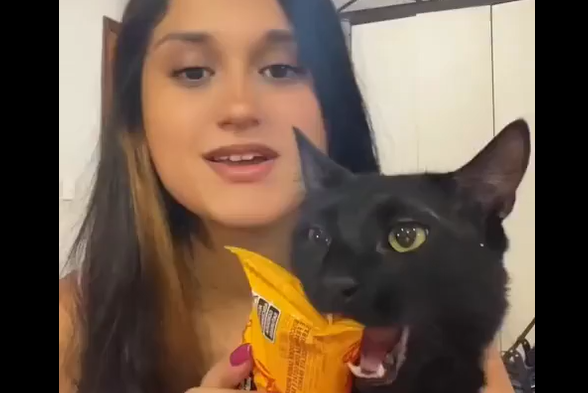 �����-�� �������� ��� (�����)