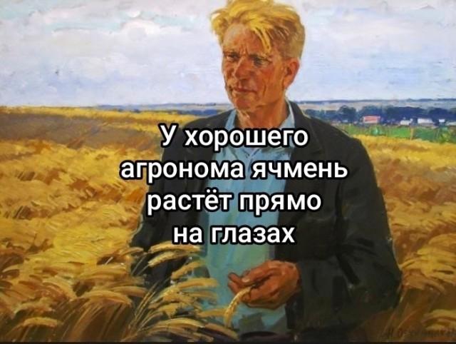 ������� �������� (15 ����)