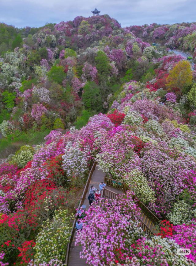 ��������� ���� ������� (7 ����)