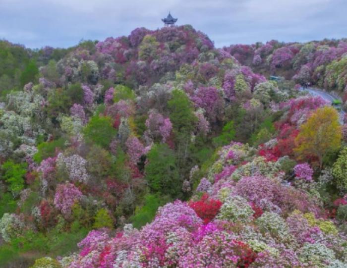 ��������� ���� ������� (7 ����)