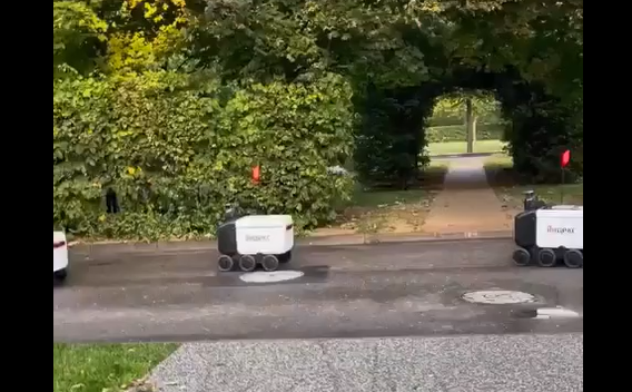 ����� �������! ������ �� ���� �����! �������������� ���� �����, ������������! (�����)