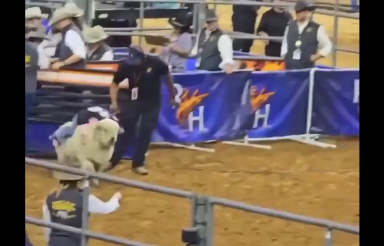 ����� ���������� ����� ������ �� ����� (�����)