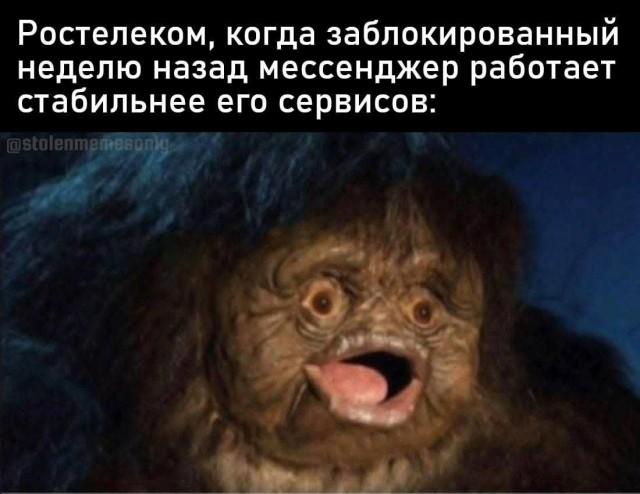 ������� ���� (15 ����)