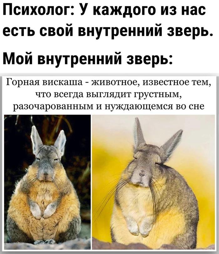 �������� ���������� ���� �3928 (30 ����)