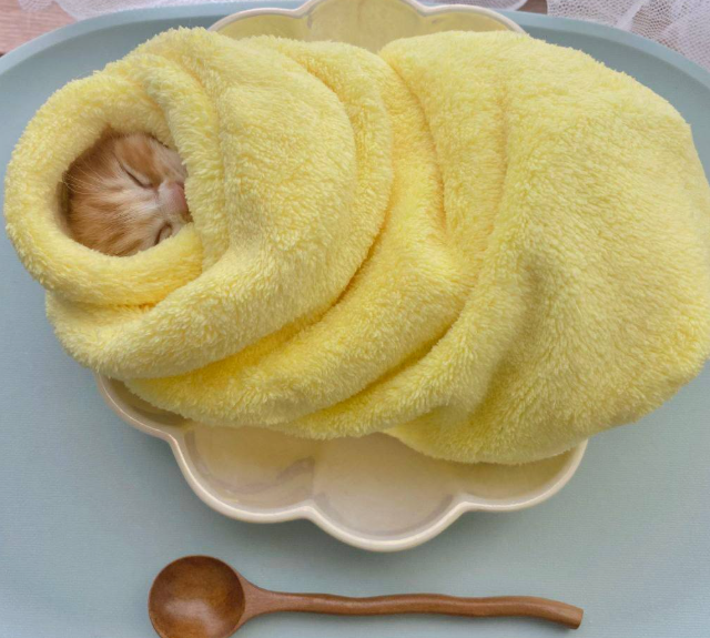 � ���� ���������� � ��������� �������� �������� ��������� ��� �������� ����� (4 ����)