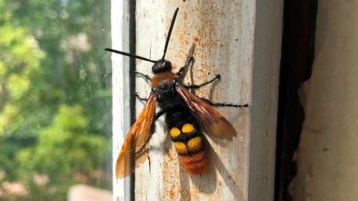 ������ �������: ��� ���������� �� �� � ���� (3 ����)