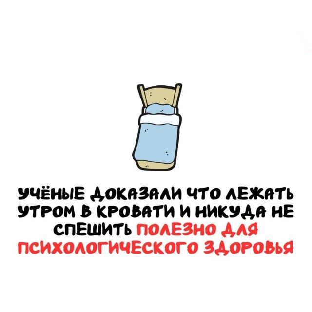 Интересные факты на все случаи жизни (15 фото)