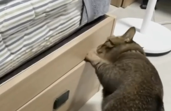 ����� � ������� �������� ����� (�����)