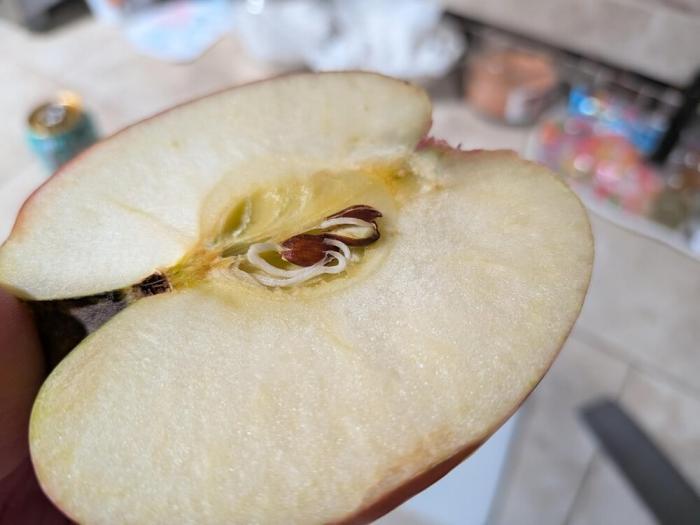 ���������� ������� ����� (25 ����)