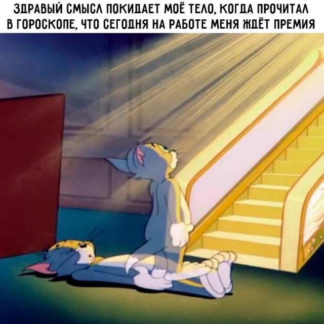 �������� ���������� ���� �3929 (30 ����)