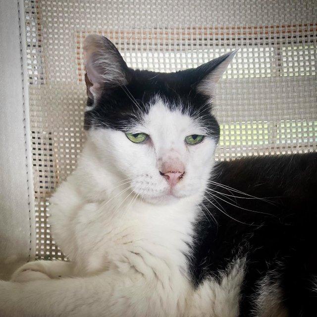 � ������ ���� ����� �������� ��� � ���� (8 ����)