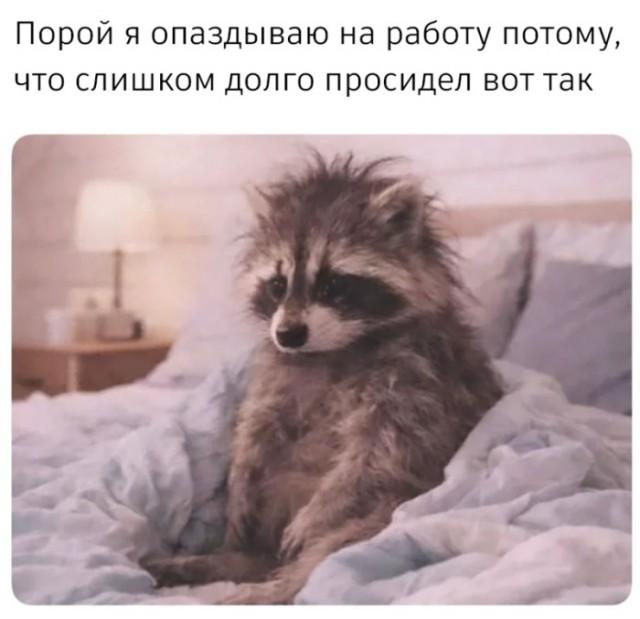 �������� ���������� ���� �3930 (30 ����)