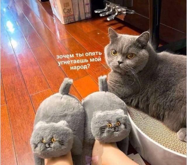 ������ ����� � ���� �� ���� (15 ����)