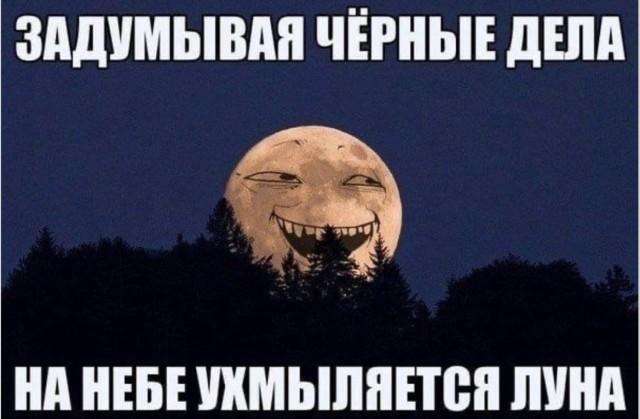 ������� ���� (15 ����)