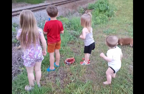 ������� ������ (�����)