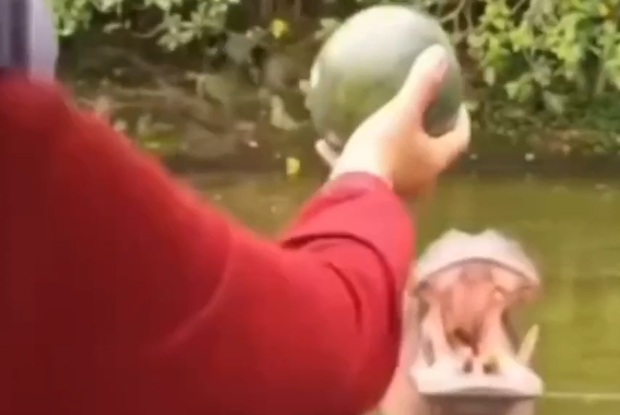 ��� �� ���� ��� �������, ����� ���� ������ ������� (�����)