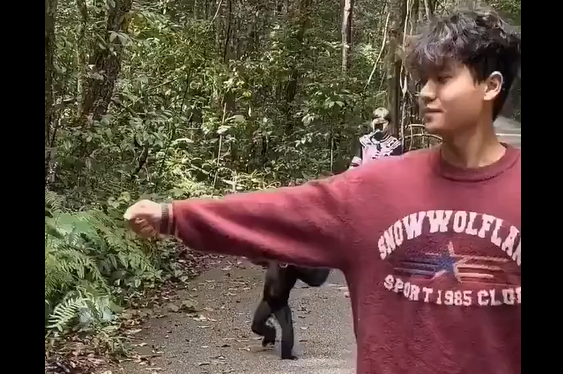 ������� ����������, ��� ��� ��������� ���� (�����)