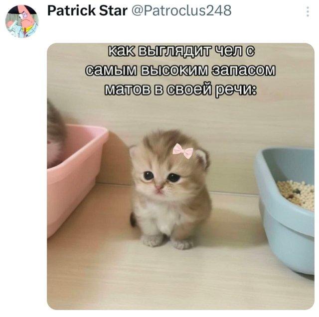 �������� �������� ������ ��� ���� (15 ����)