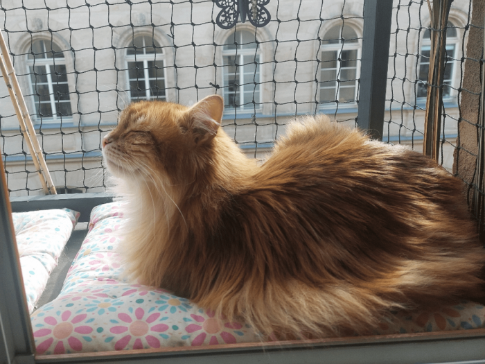 �������, ������� ��������� ����� (35 ����)