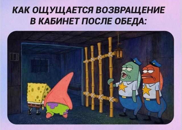 ������ ����� � ���� �� ���� (15 ����)